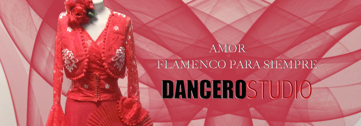 Flamenco Viterbo dancerostudio 1
