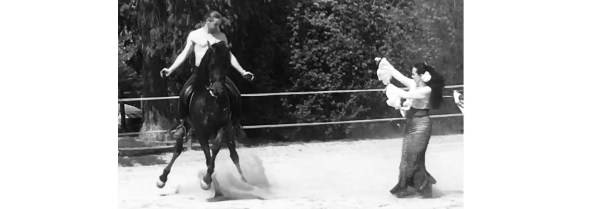 Horse Dancerostudio ag19 2