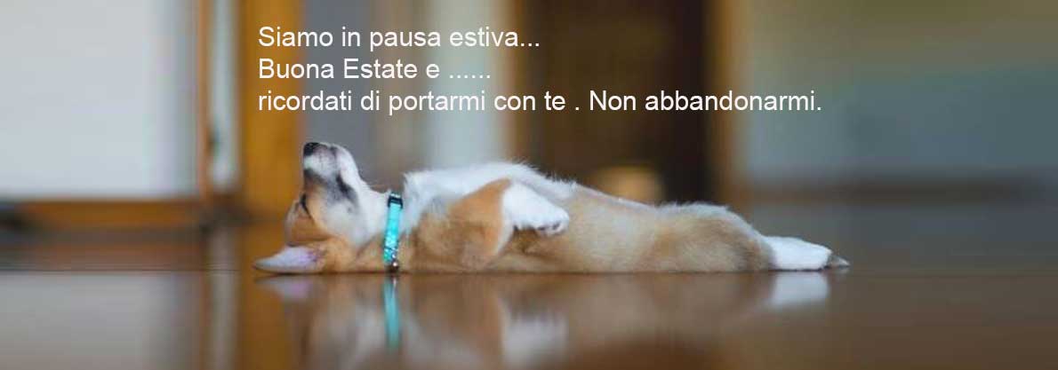 Dancerostudio Cane Luglio17 3