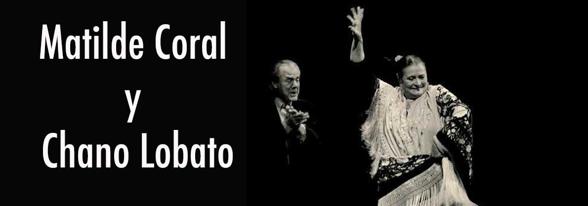 Dancerostudio Matilde Coral agosto 2019 7