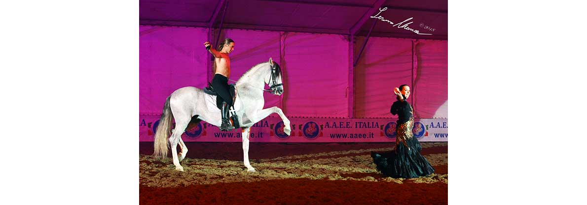 Rudj Dancerostudio 1